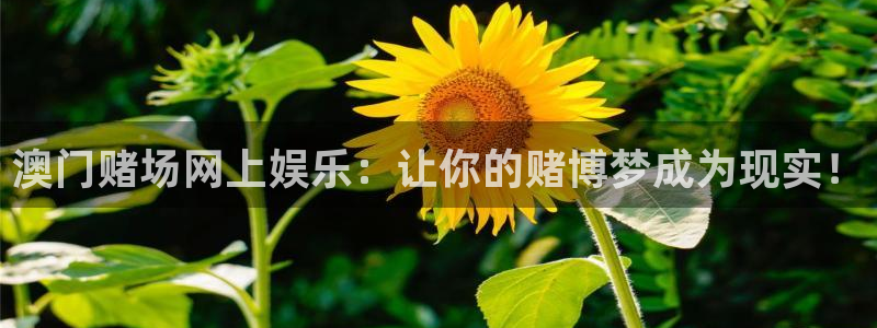 壹号app官方登录入口下载