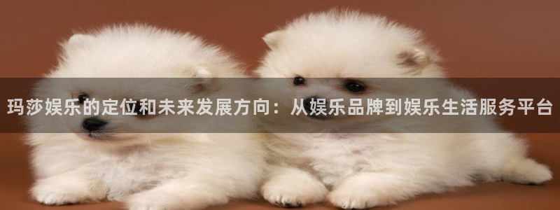 焦点娱乐游戏官网版