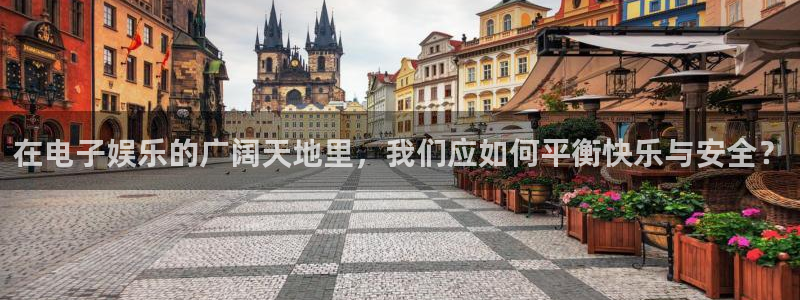 焦点娱乐预测在线预测
