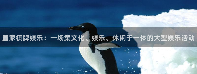 焦点娱乐平台官网入口