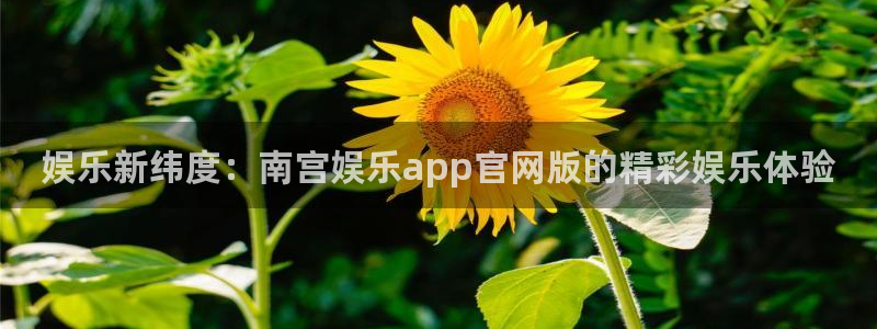 焦点娱乐娱乐