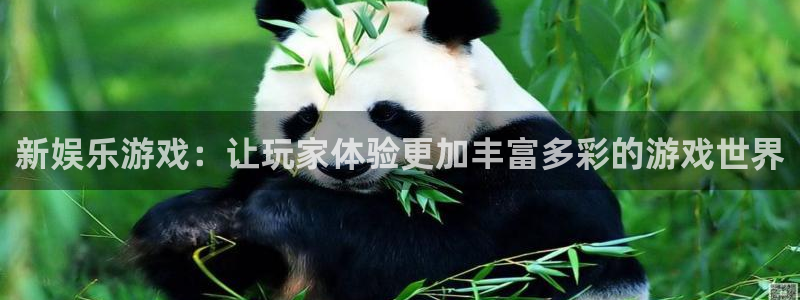 焦点娱乐分红代理计划