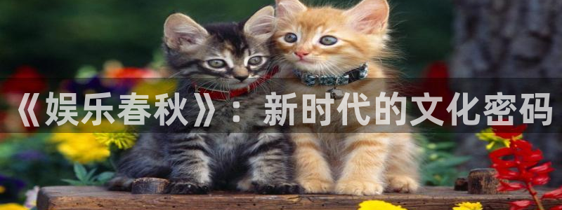 焦点娱乐平台官网版下载
