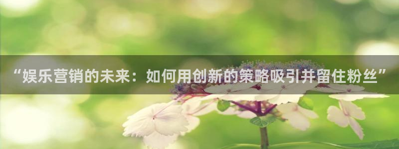 焦点娱乐 - ng大舞台,有梦你就来