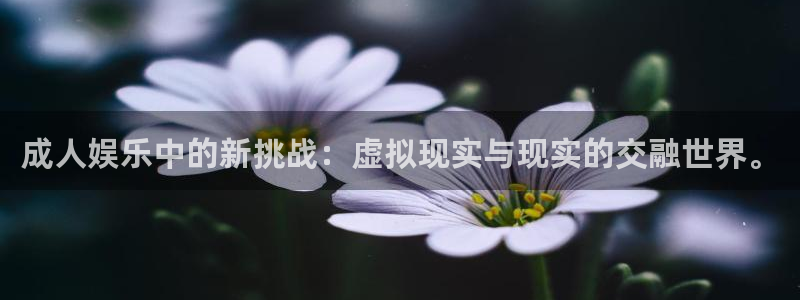 焦点娱乐在线预测