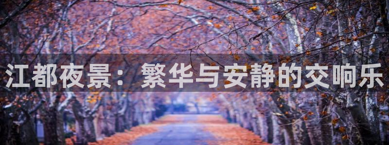 焦点娱乐在线下载
