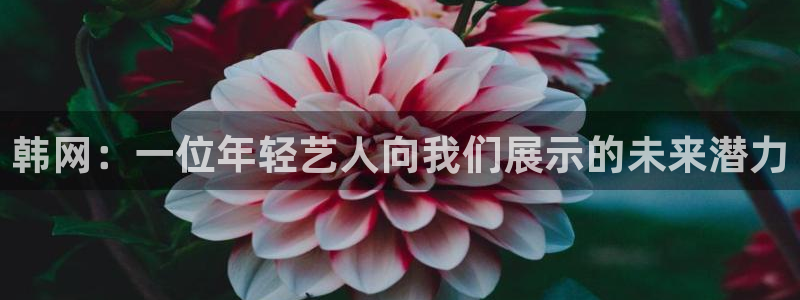壹号官方app下载安装
