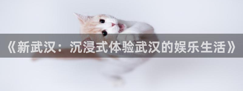 壹号注册入口app下载