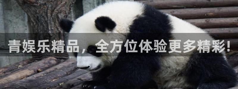 壹号平台娱乐