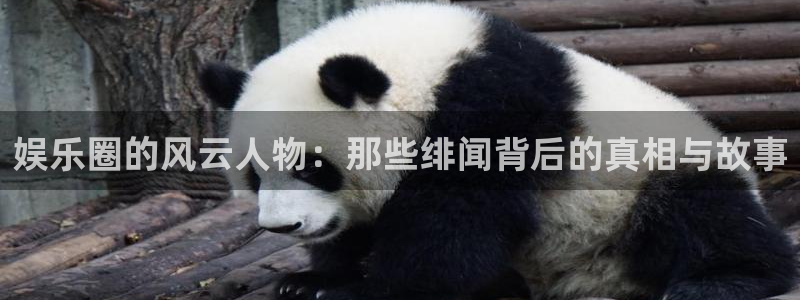 焦点娱乐游戏官网平台