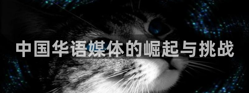 壹号注册入口app下载